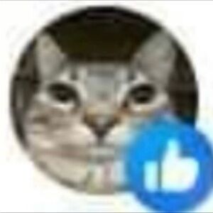 Meet your Posher, Alexa